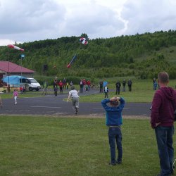 2013 Suche 29062013 Olivera